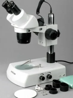 AmScope Binocular Stereo Microscope 10X-60X Magnification White