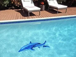 Artistry in Mosaics Dolphin Pair Ceramic Swimming Pool Mosaic 37″ x 57″ Blue