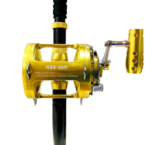 EAT MY TACKLE 80W 2-Speed Reel on Long Dredge Rod Gold