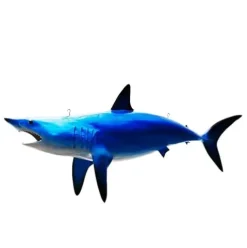 FENGSHUI-CAISHEN 70″ Colorful Blue Shark Replica Wall Decor