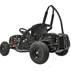 HHH Go-Bowen Baja 1000W Brushless Kids GoKart Black