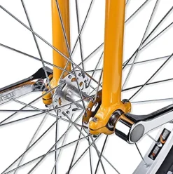 JINCAN Unicycle 20-Inch Balance Bicycle with Anti-Skid Tires