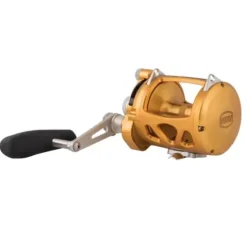 PENN International VIS 2 Speed Reel Gold 30