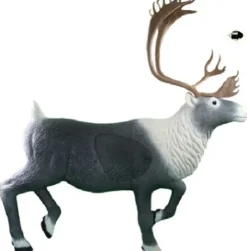 Rinehart Targets 214 Caribou Self Healing Archery Hunting Target Multicolor