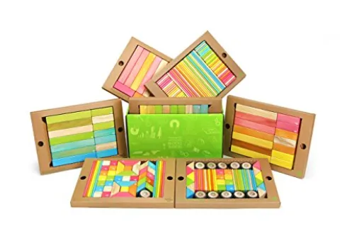 Tegu 240 Piece Classroom Magnetic Wooden Block Set Tints