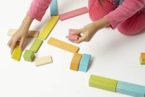 Tegu 240 Piece Classroom Magnetic Wooden Block Set Tints