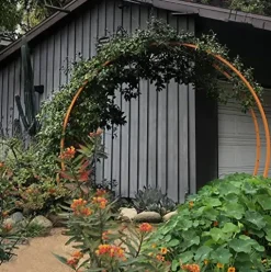 Terra Trellis Original Gracie Modern Arbor Moongate Oxide