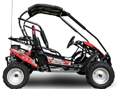 Trailmaster Blazer 200R Youth Go Kart Red